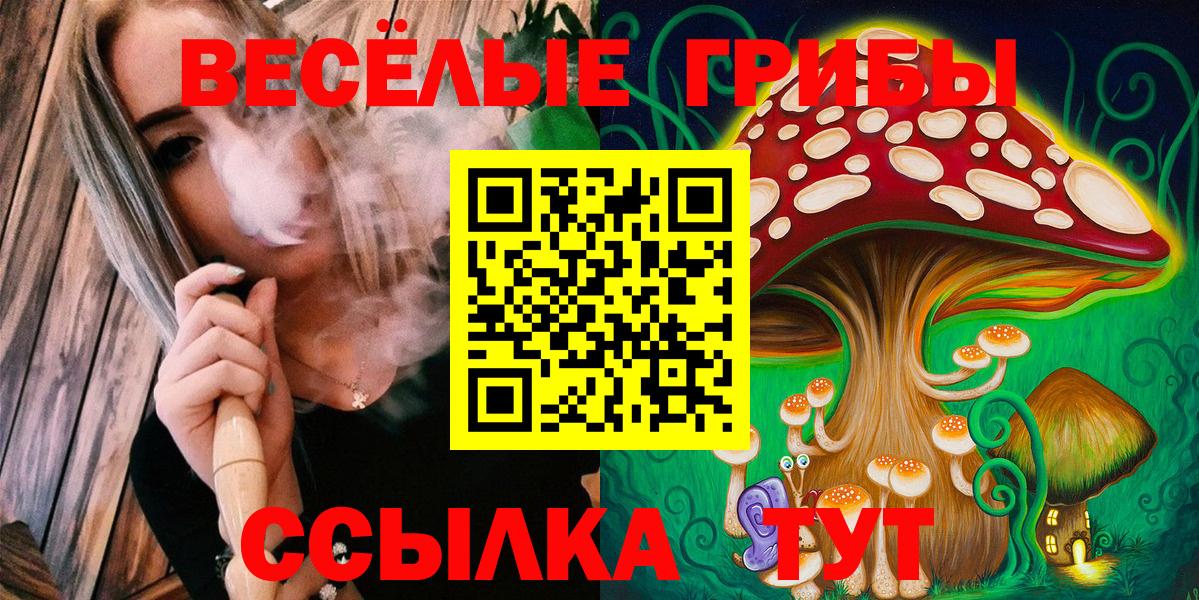 Галлюциногенные грибы прущие грибы  Вход с VPN  Курчатов 