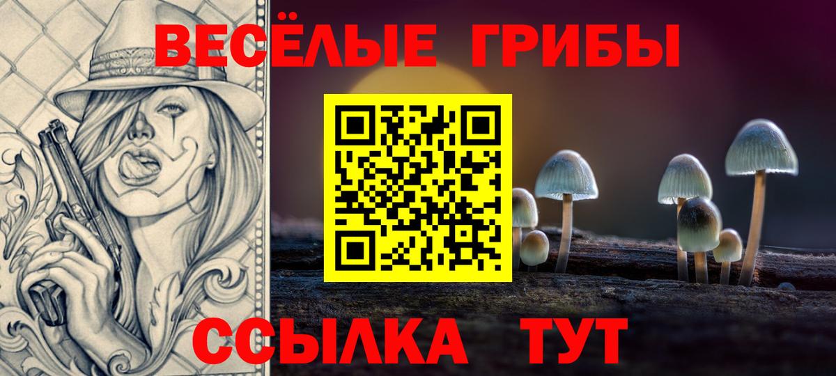 Псилоцибиновые грибы мицелий Курчатов